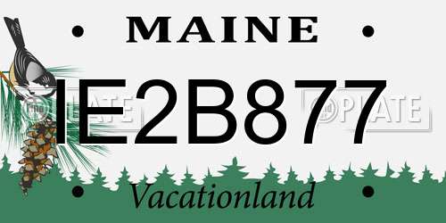IE2B877 Maine License Plate