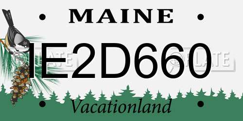 IE2D660 Maine License Plate
