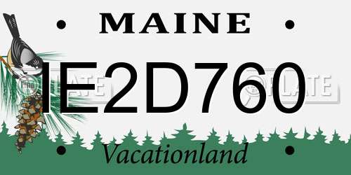 IE2D760 Maine License Plate