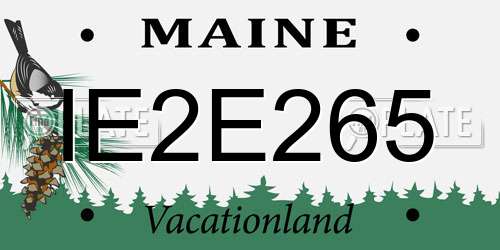 IE2E265 Maine License Plate