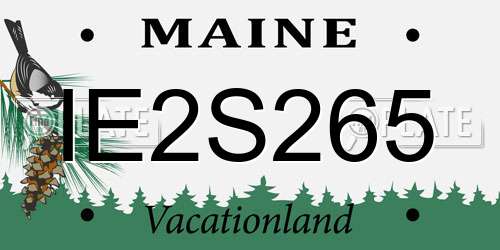 IE2S265 Maine License Plate