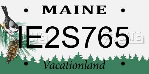IE2S765 Maine License Plate