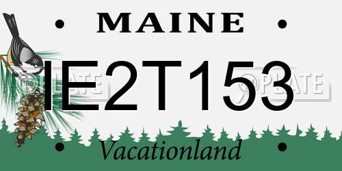 IE2T153 Maine License Plate