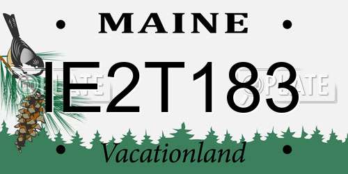 IE2T183 Maine License Plate