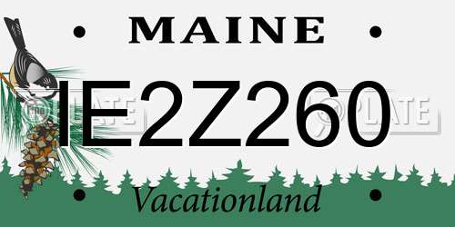 IE2Z260 Maine License Plate