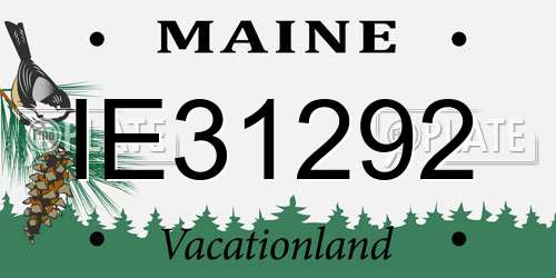 IE31292 Maine License Plate