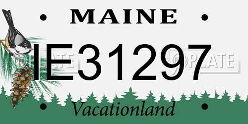 IE31297 Maine License Plate