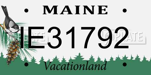 IE31792 Maine License Plate