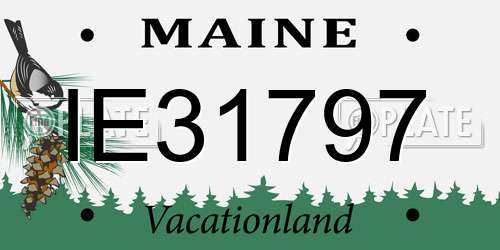 IE31797 Maine License Plate