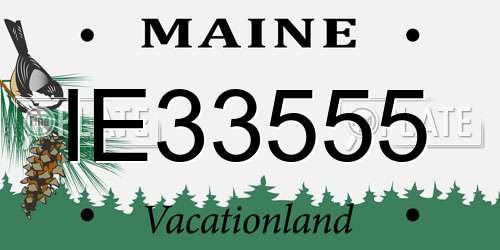 IE33555 Maine License Plate