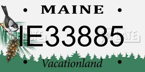 IE33885 Maine License Plate