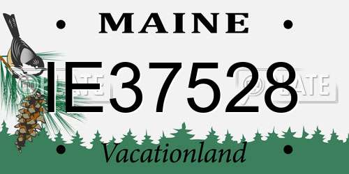 IE37528 Maine License Plate