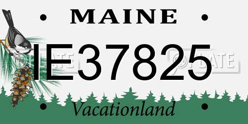 IE37825 Maine License Plate