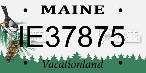 IE37875 Maine License Plate