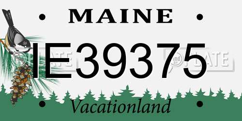 IE39375 Maine License Plate