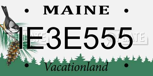 IE3E555 Maine License Plate