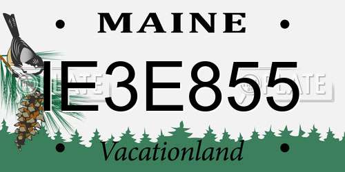 IE3E855 Maine License Plate
