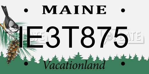 IE3T875 Maine License Plate