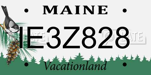 IE3Z828 Maine License Plate