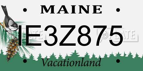 IE3Z875 Maine License Plate
