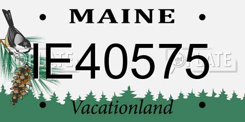 IE40575 Maine License Plate