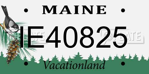 IE40825 Maine License Plate