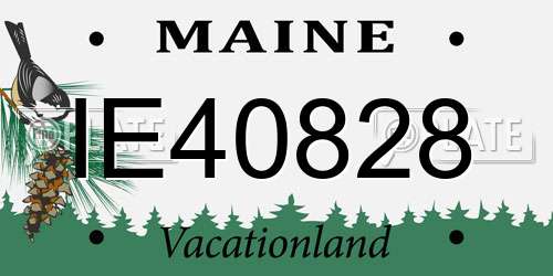 IE40828 Maine License Plate