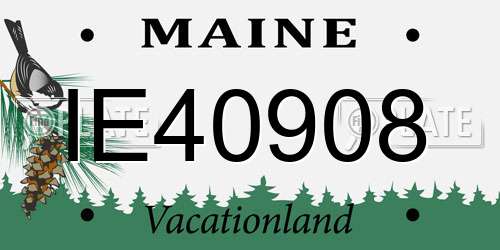 IE40908 Maine License Plate