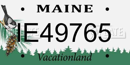 IE49765 Maine License Plate