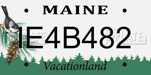 IE4B482 Maine License Plate