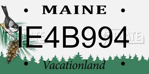 IE4B994 Maine License Plate