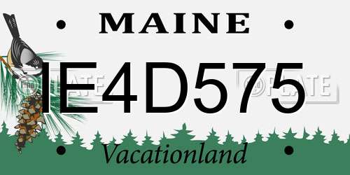 IE4D575 Maine License Plate