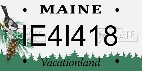 IE4I418 Maine License Plate