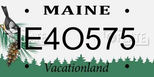 IE4O575 Maine License Plate