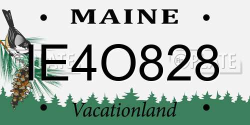 IE4O828 Maine License Plate