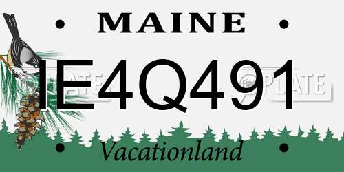 IE4Q491 Maine License Plate