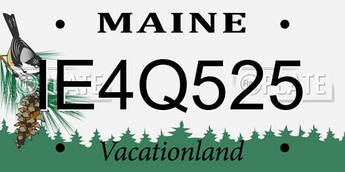 IE4Q525 Maine License Plate