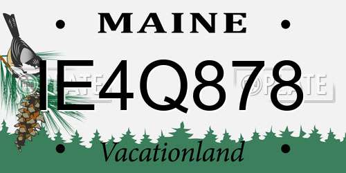 IE4Q878 Maine License Plate