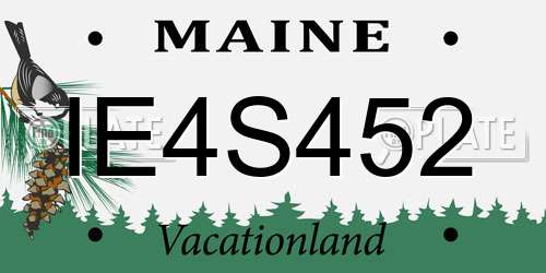 IE4S452 Maine License Plate