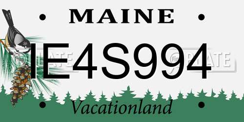 IE4S994 Maine License Plate