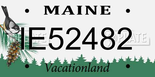 IE52482 Maine License Plate