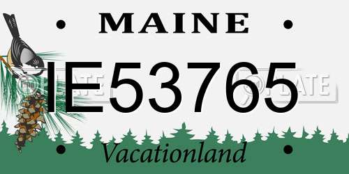 IE53765 Maine License Plate
