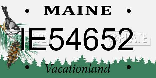 IE54652 Maine License Plate