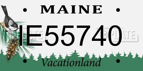 IE55740 Maine License Plate