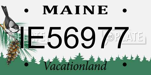 IE56977 Maine License Plate
