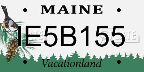 IE5B155 Maine License Plate