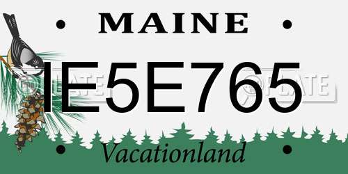 IE5E765 Maine License Plate