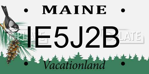 IE5J2B Maine License Plate