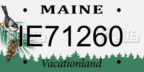 IE71260 Maine License Plate