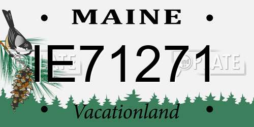 IE71271 Maine License Plate